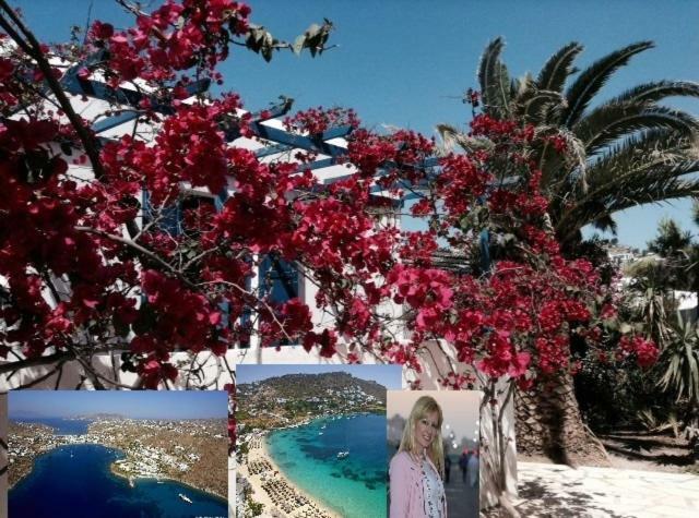 Magical Ornos! Beach House!Beach 1' Walk-Mykonos Town 2Km מראה חיצוני תמונה